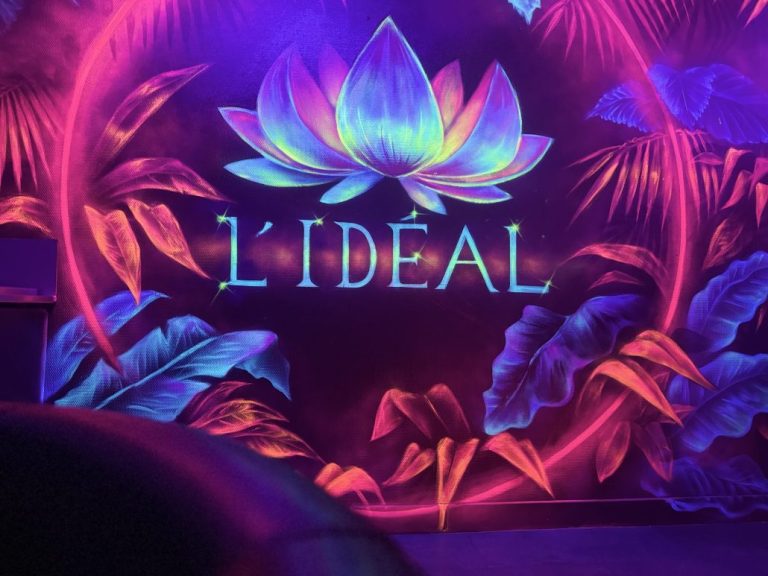 Fresque L Ideal - lotus, vue large - L IDEAL SAUNA, Agen