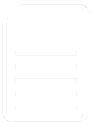 curriculum vitae